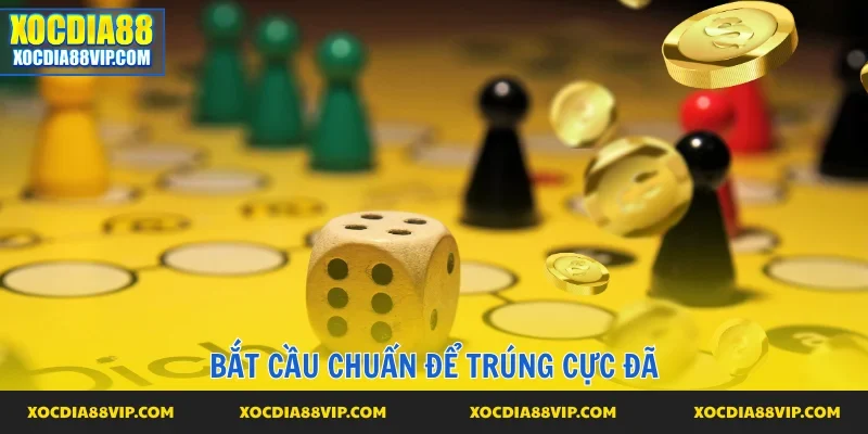 Bắt cầu chuẩn để dự đoán đúng