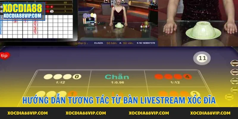 Cách tương tác và cược trong xóc đĩa livestream