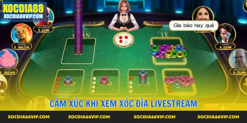 Cảm xúc thật khi xem xóc đĩa trực tiếp