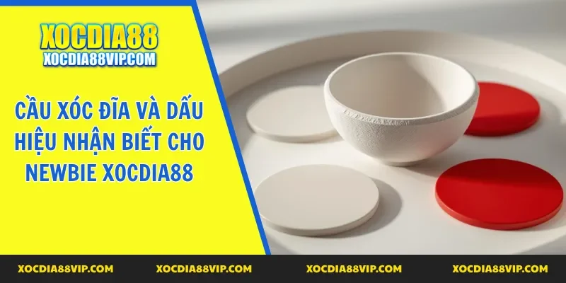 cầu xóc đĩa