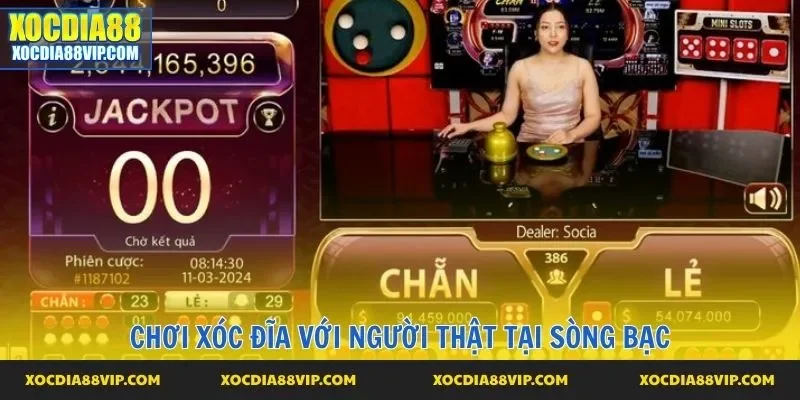 Chơi xóc đĩa với người thật tại sòng bạc