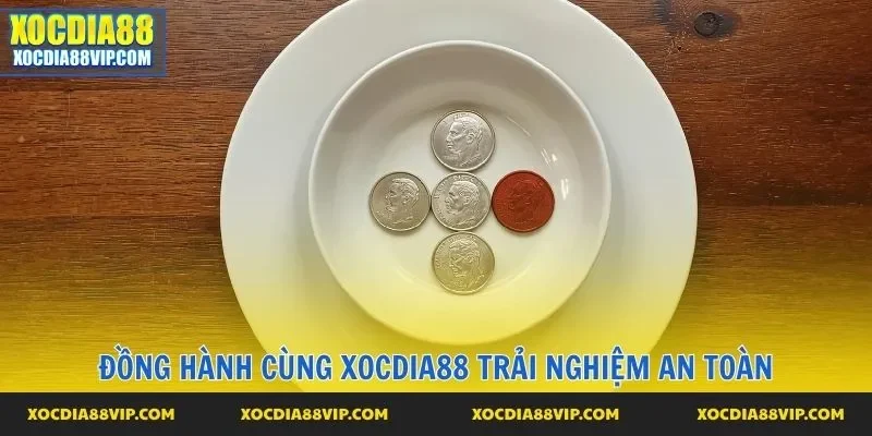 Đồng hành cùng Xocdia88 trải nghiệm an toàn
