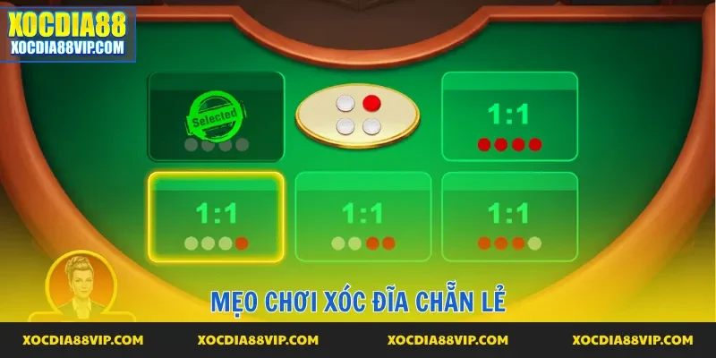 Mẹo chơi xóc đĩa chẵn lẻ 