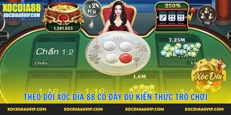 Theo dõi Xóc Đĩa 88 có đầy đủ kiến thức trò chơi