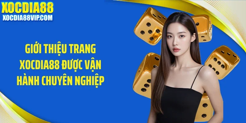 gioi thieu trang xocdia88 duoc van hanh chuyen nghiep Giới thiệu trang Xocdia88 được vận hành chuyên nghiệp