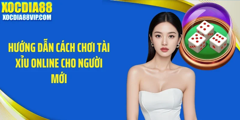 huong dan cach choi tai xiu online cho nguoi moi Hướng dẫn cách chơi tài xỉu online cho người mới