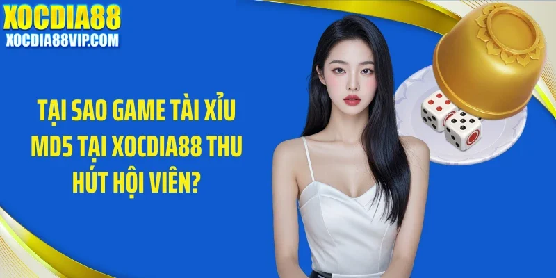 Tại sao game tài xỉu MD5 tại Xocdia88 thu hút hội viên?