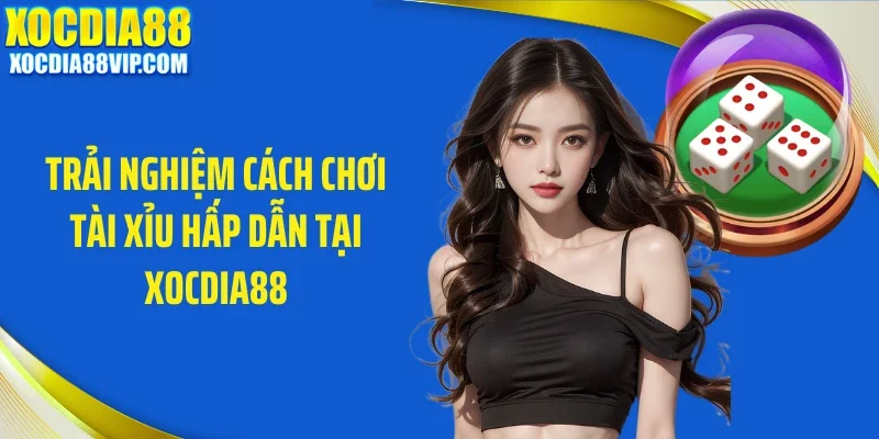 trai nghiem cach choi tai xiu hap dan tai xocdia88 Trải nghiệm cách chơi tài xỉu hấp dẫn tại Xocdia88